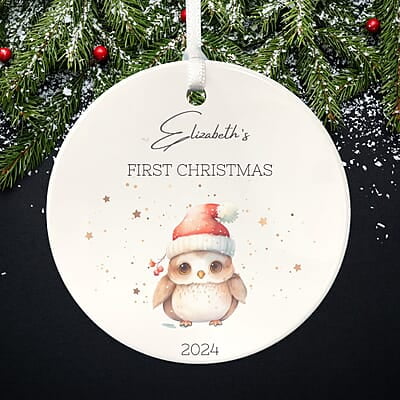Personalized Baby 1st Christmas Ornament 2, 2024 Keepsake, Custom Girls and Boys, Baby Name Gift Personalized Baby 1st Christmas Ornament 2, 2024 Keepsake, Custom Girls and Boys, Baby Name Gift
