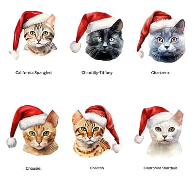 Breeds Starting with C Cat in Santa Hat Personalized 4" Wind Spinner Christmas Ornament Pet Gift Breeds Starting with C Cat in Santa Hat Personalized 4" Wind Spinner Christmas Ornament Pet Gift