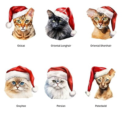 Breeds Starting with O - R Cat in Santa Hat Personalized 4" Wind Spinner Christmas Ornament Pet Gift Breeds Starting with O - R Cat in Santa Hat Personalized 4" Wind Spinner Christmas Ornament Pet Gift