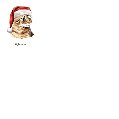 Breeds Starting with E - H Cat in Santa Hat Personalized 4" Wind Spinner Christmas Ornament Pet Gift Breeds Starting with E - H Cat in Santa Hat Personalized 4" Wind Spinner Christmas Ornament Pet Gift