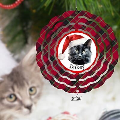 Breeds Starting with C Cat in Santa Hat Personalized 4" Wind Spinner Christmas Ornament Pet Gift Breeds Starting with C Cat in Santa Hat Personalized 4" Wind Spinner Christmas Ornament Pet Gift